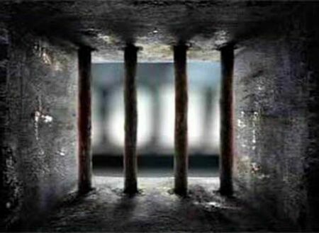 2 года лишения возможности участвовать в торгах